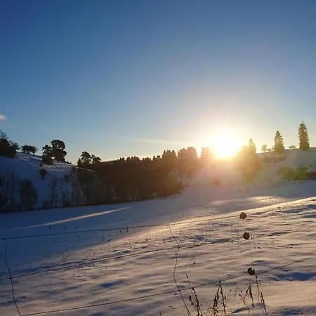 Schwarzwaldparkhotel Отель Лёффинген