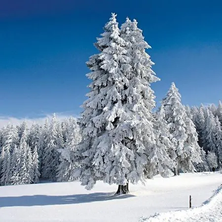 Schwarzwaldparkhotel Отель 3*