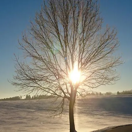 Hotel Verena's Parkhotel 3*