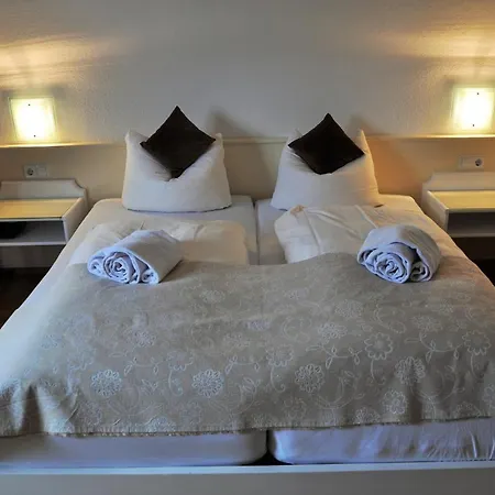 Отель Schwarzwaldparkhotel 3*