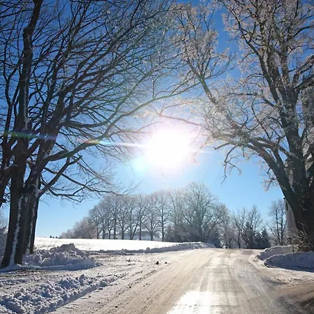 Отель Schwarzwaldparkhotel 3*