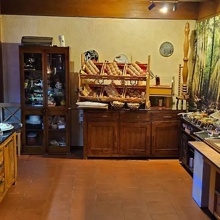 Verena's Parkhotel Löffingen