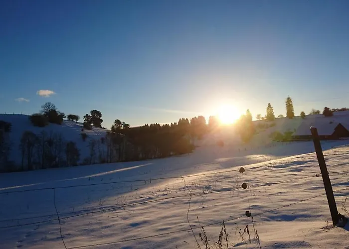 Verena's Parkhotel Ξενοδοχείο Löffingen
