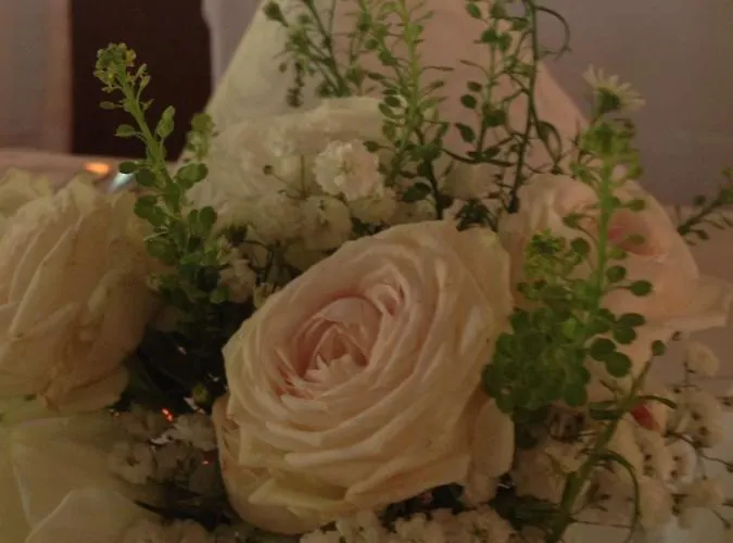 Verena's Parkhotel Ξενοδοχείο Löffingen